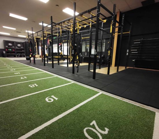 IMG_20190213_124013-1 (1)